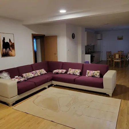 Yas Hadžići
